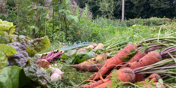 Le Jardin collectif de Baives