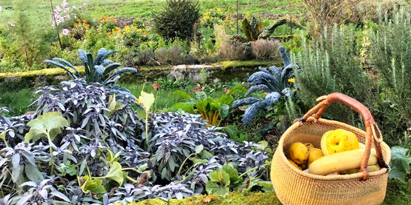 Le potager de la traversine
