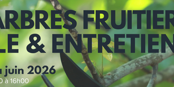 Formation - taille et entretien de fruitiers 