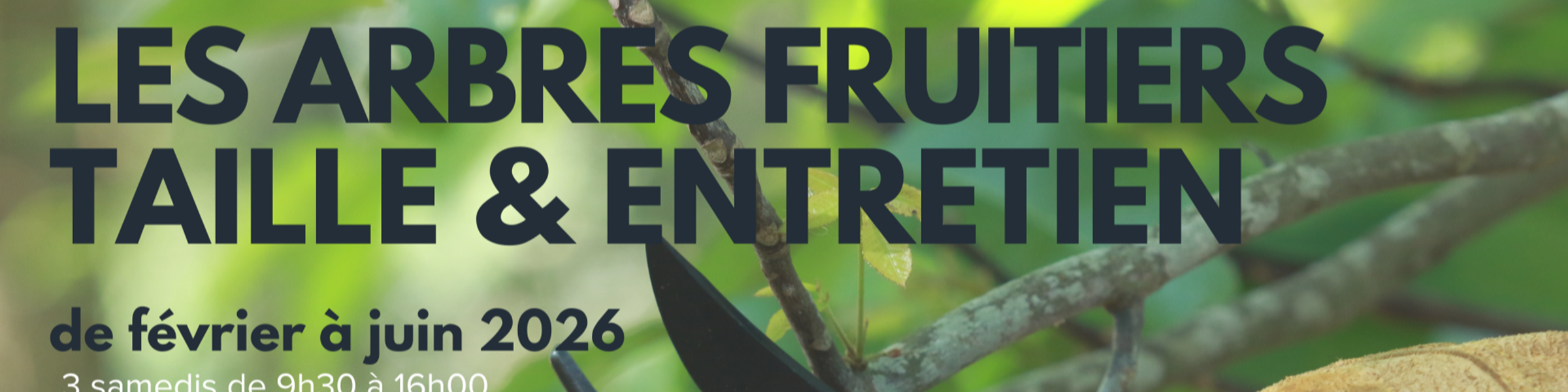 Formation - taille et entretien de fruitiers 